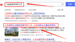 云南*思企業(yè)集團(tuán)堅果有限公司網(wǎng)站建設(shè)基本流程