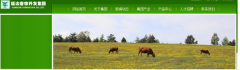 延邊畜*開發(fā)集團有限公司制作網站平面設計案例作品
