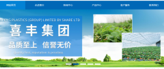 白山市喜*塑料（集團(tuán)）股份有限公司網(wǎng)站設(shè)計(jì)營銷型案例作品