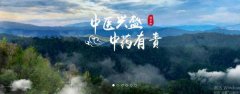 普洱淞*醫(yī)藥集團(tuán)有限公司網(wǎng)站建設(shè)新一代自助建站、智能建站系統(tǒng)