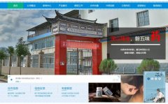 大理白族自治州中*制藥有限公司網站建設有創(chuàng)意的主題設計