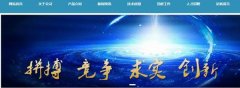 天水天光*導體有限責任公司網(wǎng)站建設營銷型案例作品