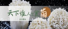 天水眾*菌業(yè)股份有限公司網(wǎng)站建設有創(chuàng)意的主題設計
