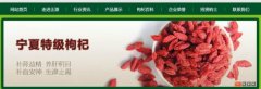 寧夏正源吳忠清*食品有限公司網(wǎng)站建設基本流程