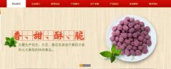 紅太*食品(榮成)有限公司制作網(wǎng)站新一代自助建站、智能建站系統(tǒng)