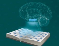 掌握網(wǎng)站SEO優(yōu)化更新，解鎖流量密碼