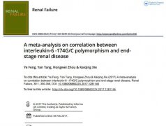企業(yè)網(wǎng)站設計，圖片格式全揭秘